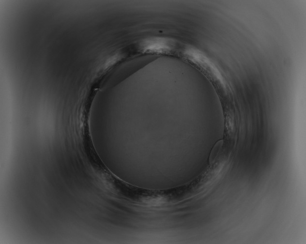 X0000088230551200705151455