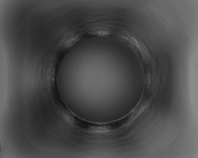 X0000088230553200705151455