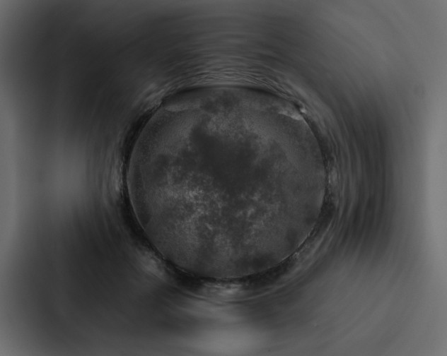X0000088230554200705151455