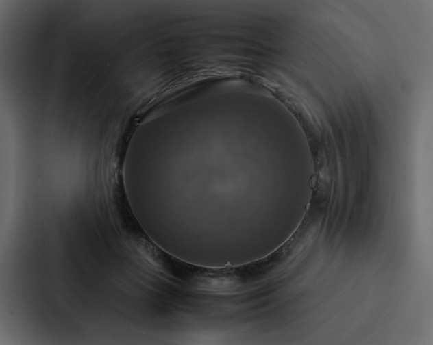 X0000088230555200705151455