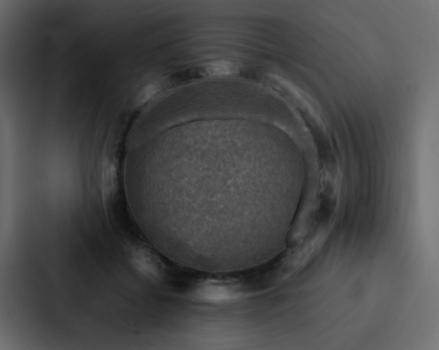 X0000088230556200705151455