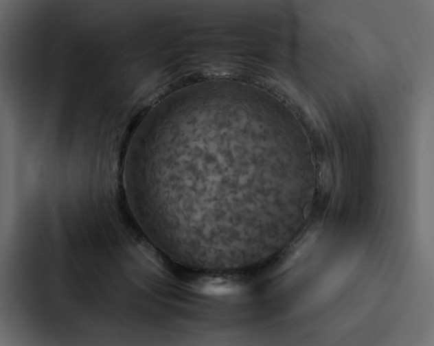 X0000088230557200705151455