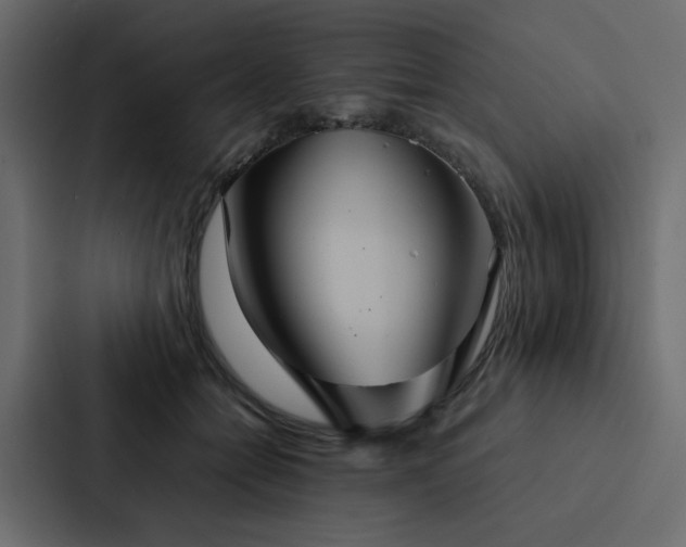 X0000088230558200705151455