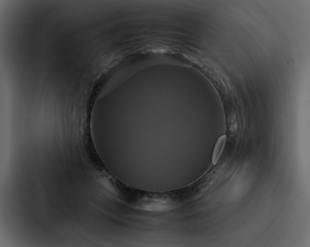 X0000088230559200705151455