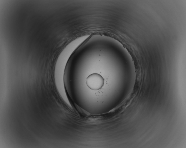 X0000088230560200705151455