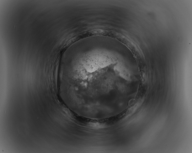 X0000088230561200705151455