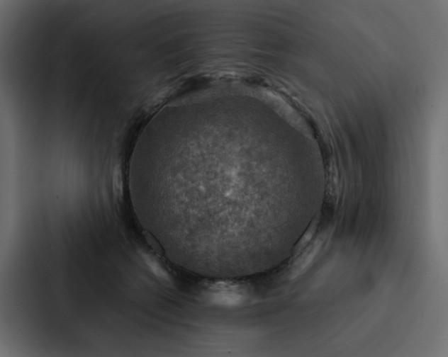 X0000088230562200705151455