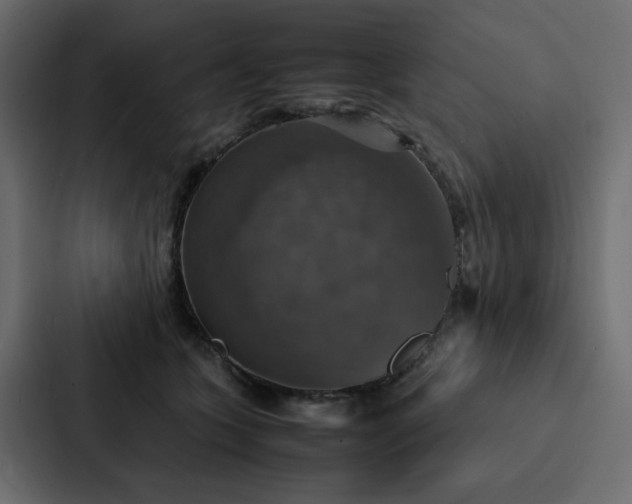 X0000088230563200705151455