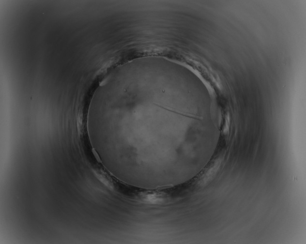 X0000088230564200705151455