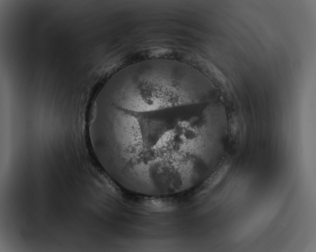 X0000088230565200705151455