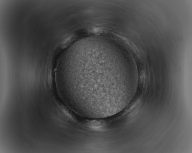 X0000088230566200705151455