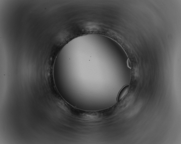 X0000088230567200705151455