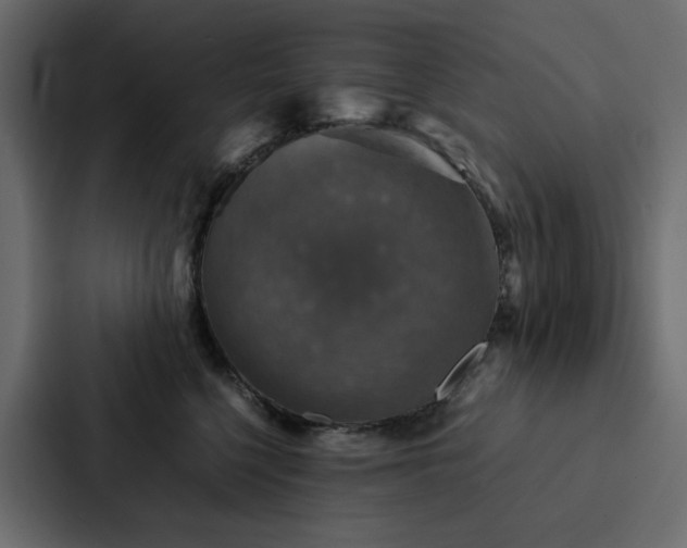 X0000088230568200705151455