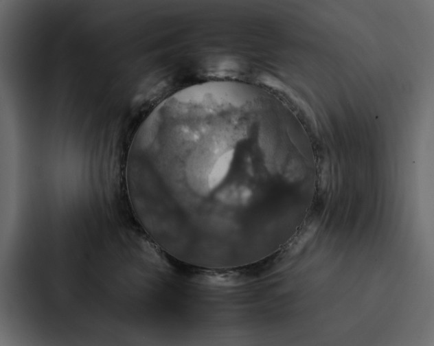 X0000088230569200705151455