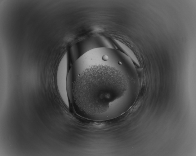 X0000088230570200705151455