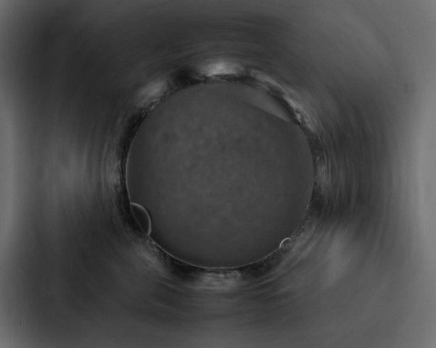 X0000088230571200705151455