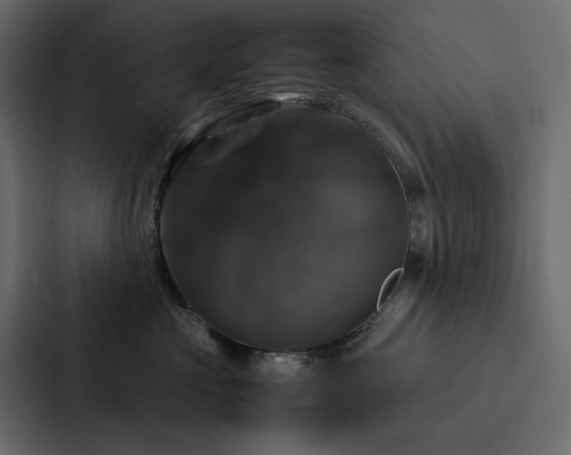 X0000088230573200705151455
