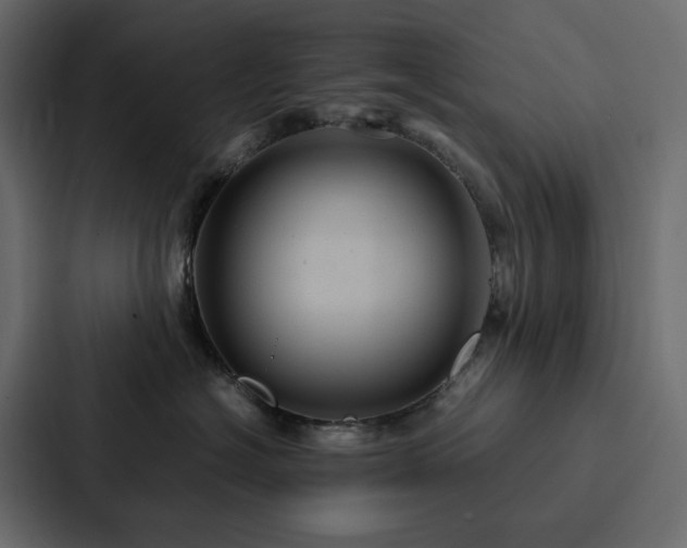 X0000088230574200705151455