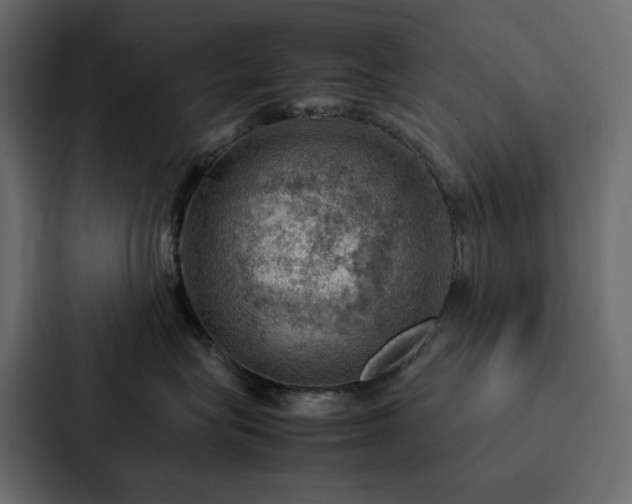 X0000088230575200705151455