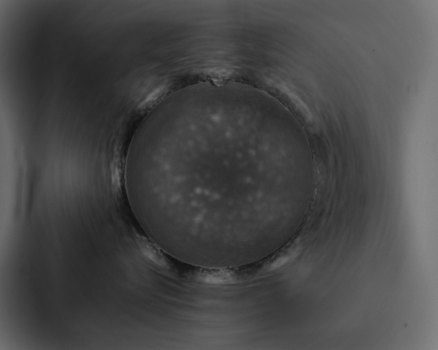 X0000088230576200705151455