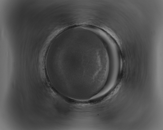 X0000088230577200705151454