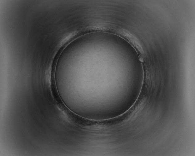 X0000088230578200705151454