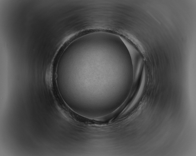 X0000088230580200705151454