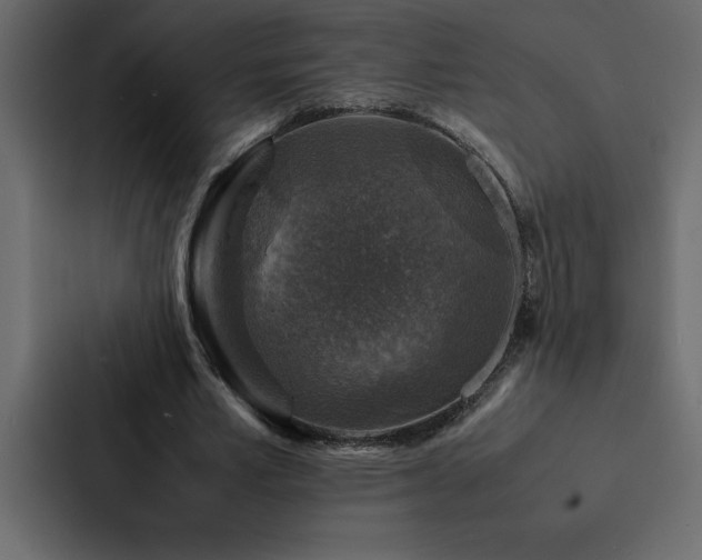X0000088230581200705151454