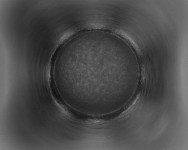 X0000088230582200705151454