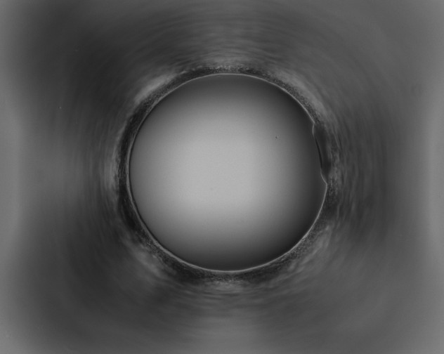 X0000088230583200705151454