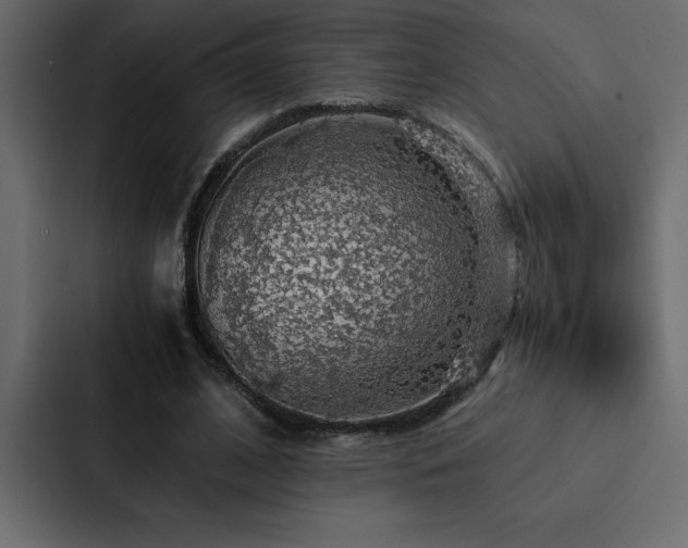 X0000088230584200705151454