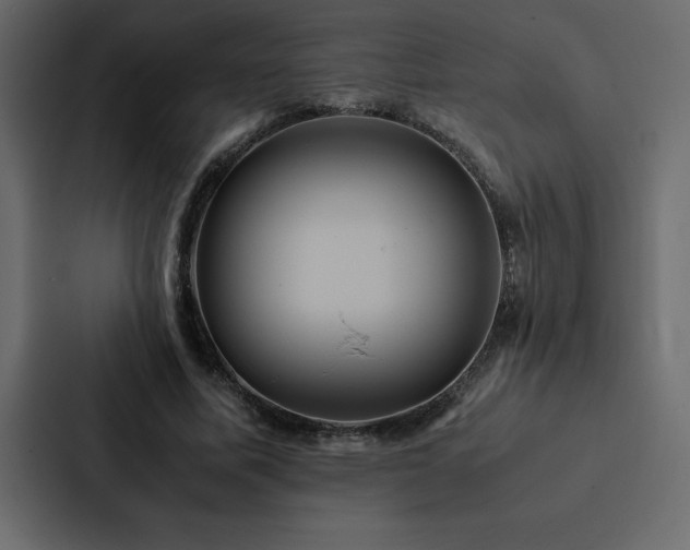 X0000088230587200705151454