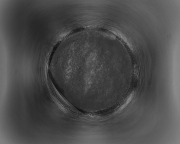 X0000088230589200705151454
