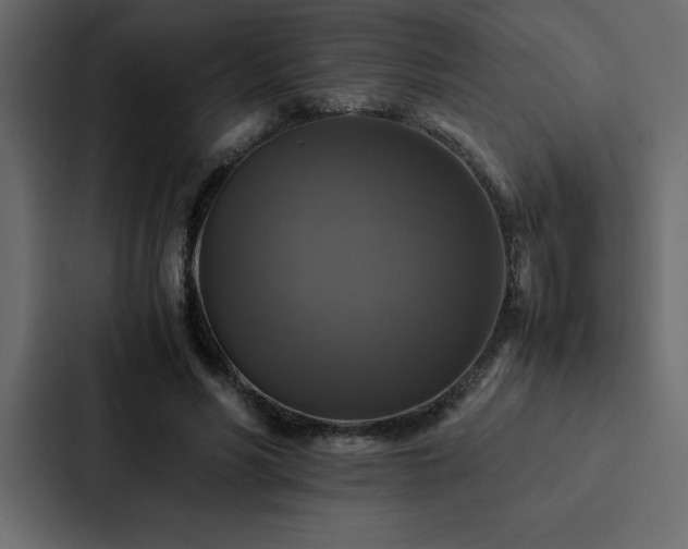 X0000088230590200705151454
