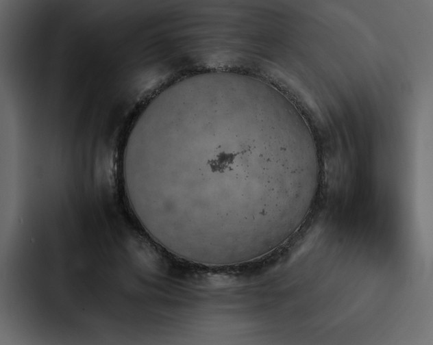 X0000088230592200705151454