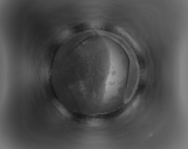 X0000088230593200705151454