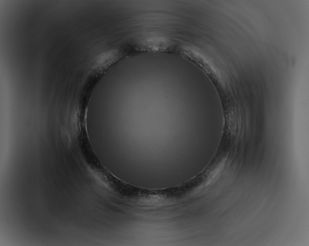 X0000088230594200705151454