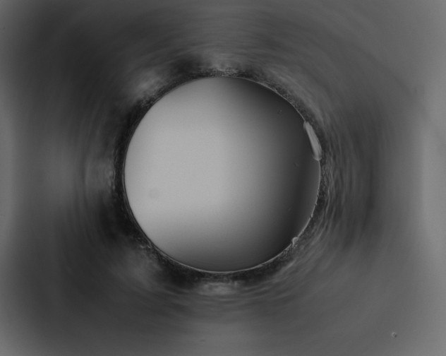 X0000088230595200705151454