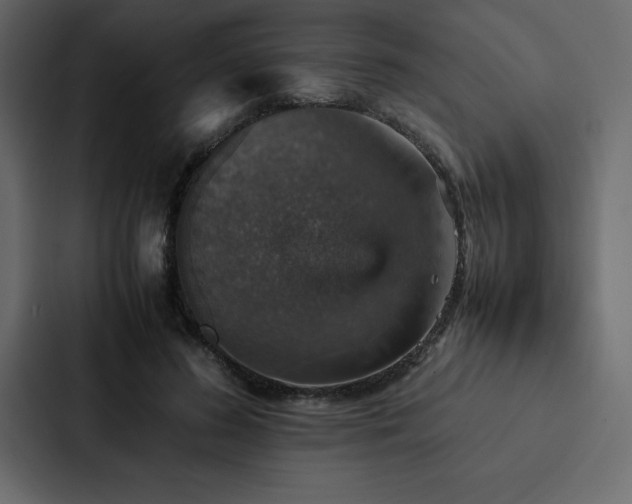 X0000088230596200705151454
