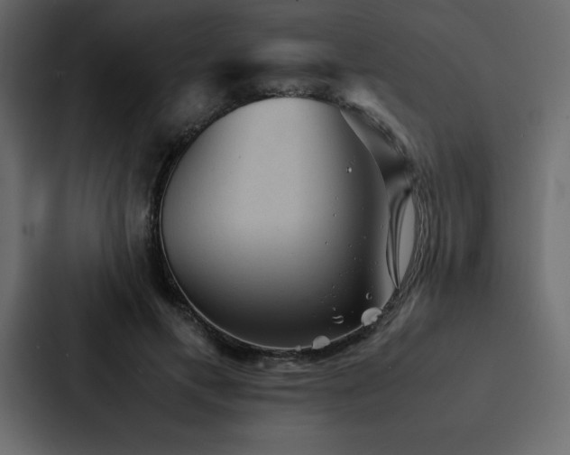 X0000088230597200705151454