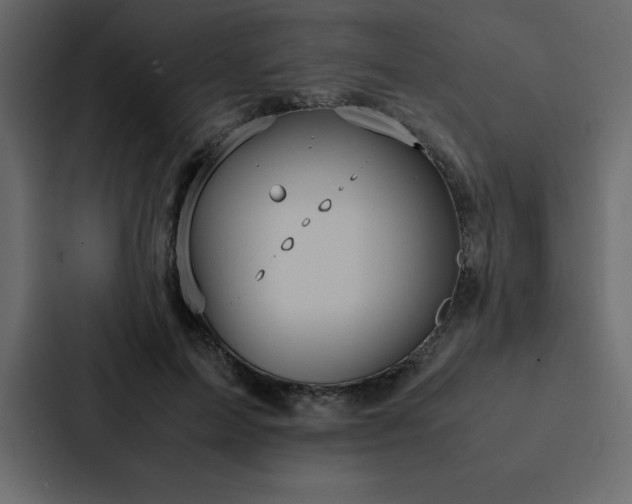 X0000088230599200705151454