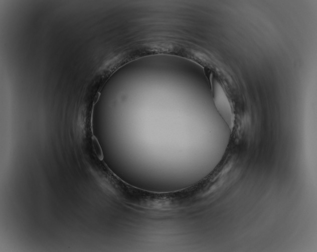 X0000088230600200705151454