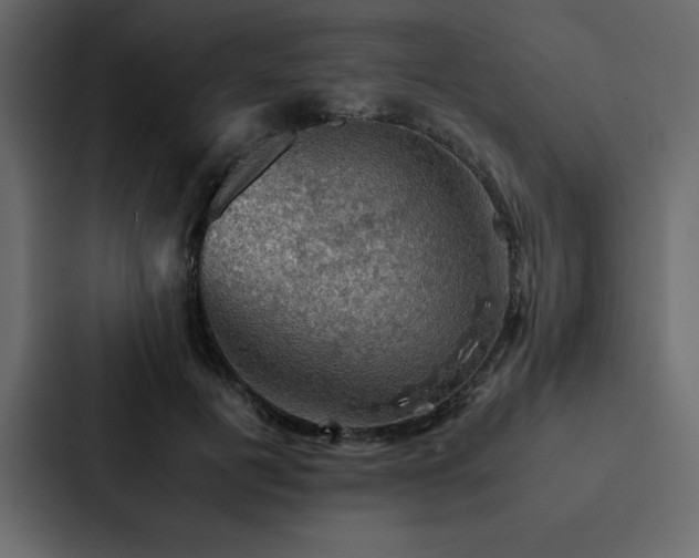 X0000088230601200705151454