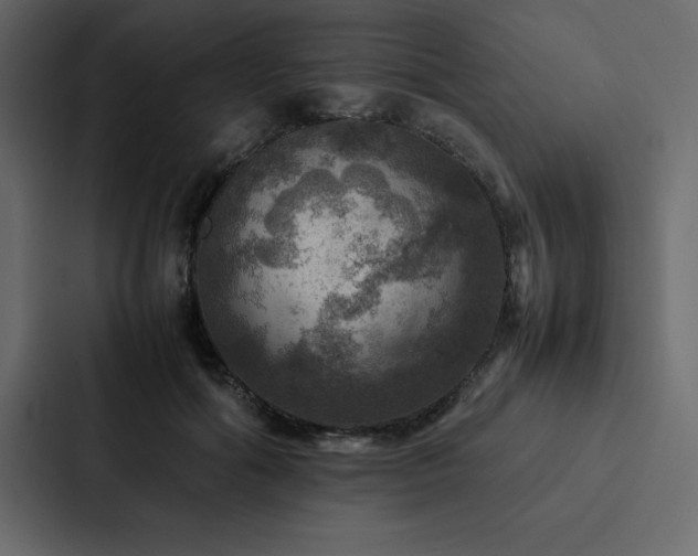 X0000088230602200705151454