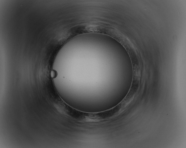 X0000088230603200705151454