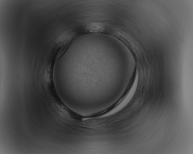 X0000088230604200705151454