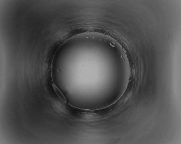 X0000088230605200705151454