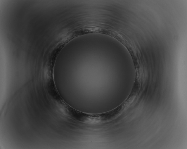 X0000088230606200705151454