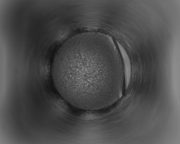 X0000088230608200705151454