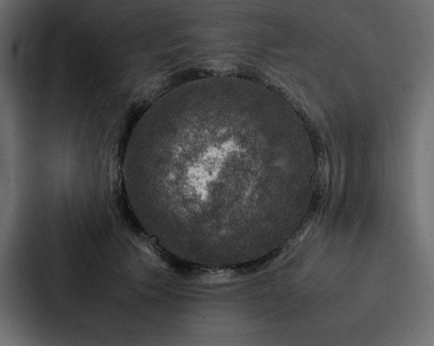 X0000088230609200705151454